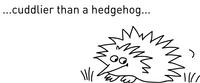 teckning - igelkott och texten cuddlier than a hedgehog (keligare Ã¤n en igelkott)
