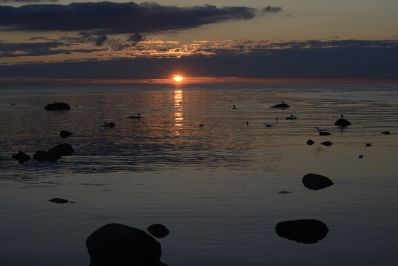 Medeltidsveckan i Visby 2012 Medeltidsveckan i Visby 2012