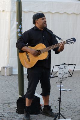Politikerveckan / Almedalen 2012