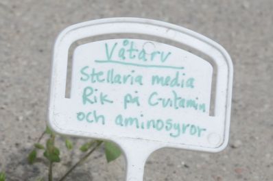 Politikerveckan / Almedalen 2012