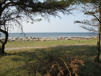 bild - utsikt mot havvet vid Brucebo, Gotland