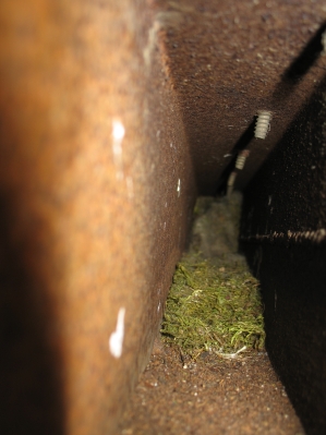 talgoxebo i jÃ¤rnbalk