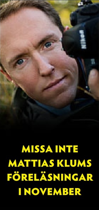 bild - reklambild Klum på scen i november 2008 bild - reklambild Klum på scen i november 2008